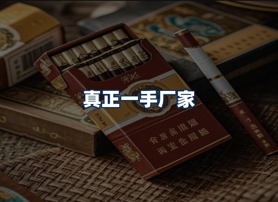 专业团队办公环境